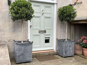 Galvanised planters - Zinc garden pots