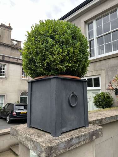 Galvanised planters  Zinc garden pots