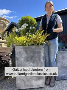 2024 Container Gardening Trends