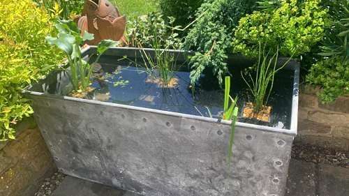 2024 Container Gardening Trends - Image 5