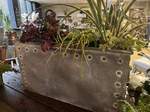 How to plant a galvanised trough - winter planting