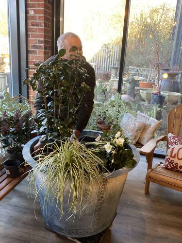 How to plant large iron riveted planter  planting pots - Image 2