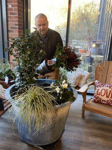 How to plant large iron riveted planter  planting pots - Image 3