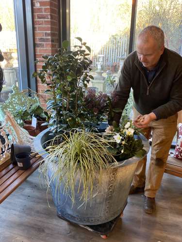 How to plant large iron riveted planter  planting pots - Image 5