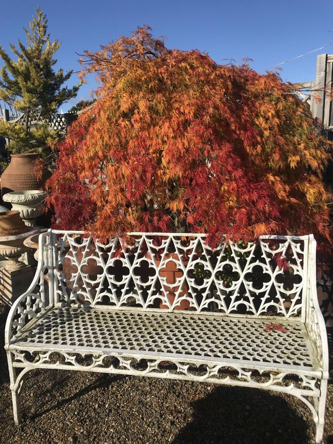 Garden Benches & Furniture