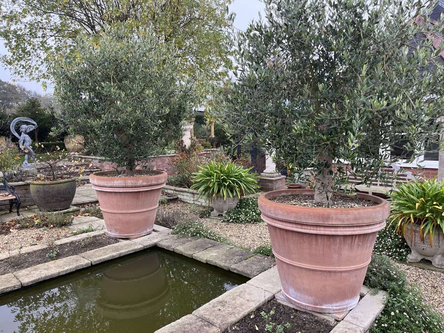 Terracotta Pots