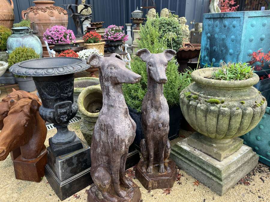 New Stock
