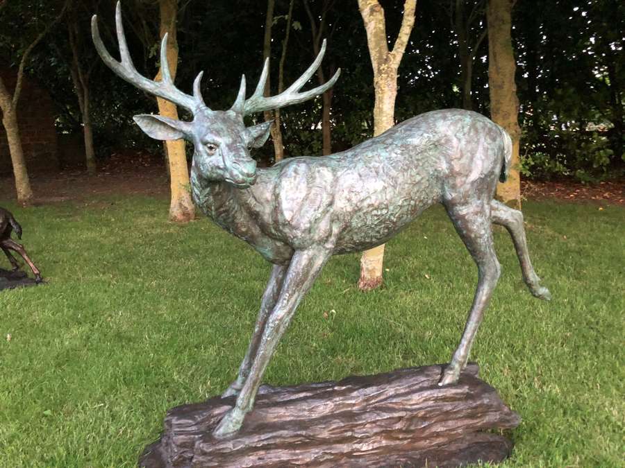 Bronze deer sculpture - bronze garden statues