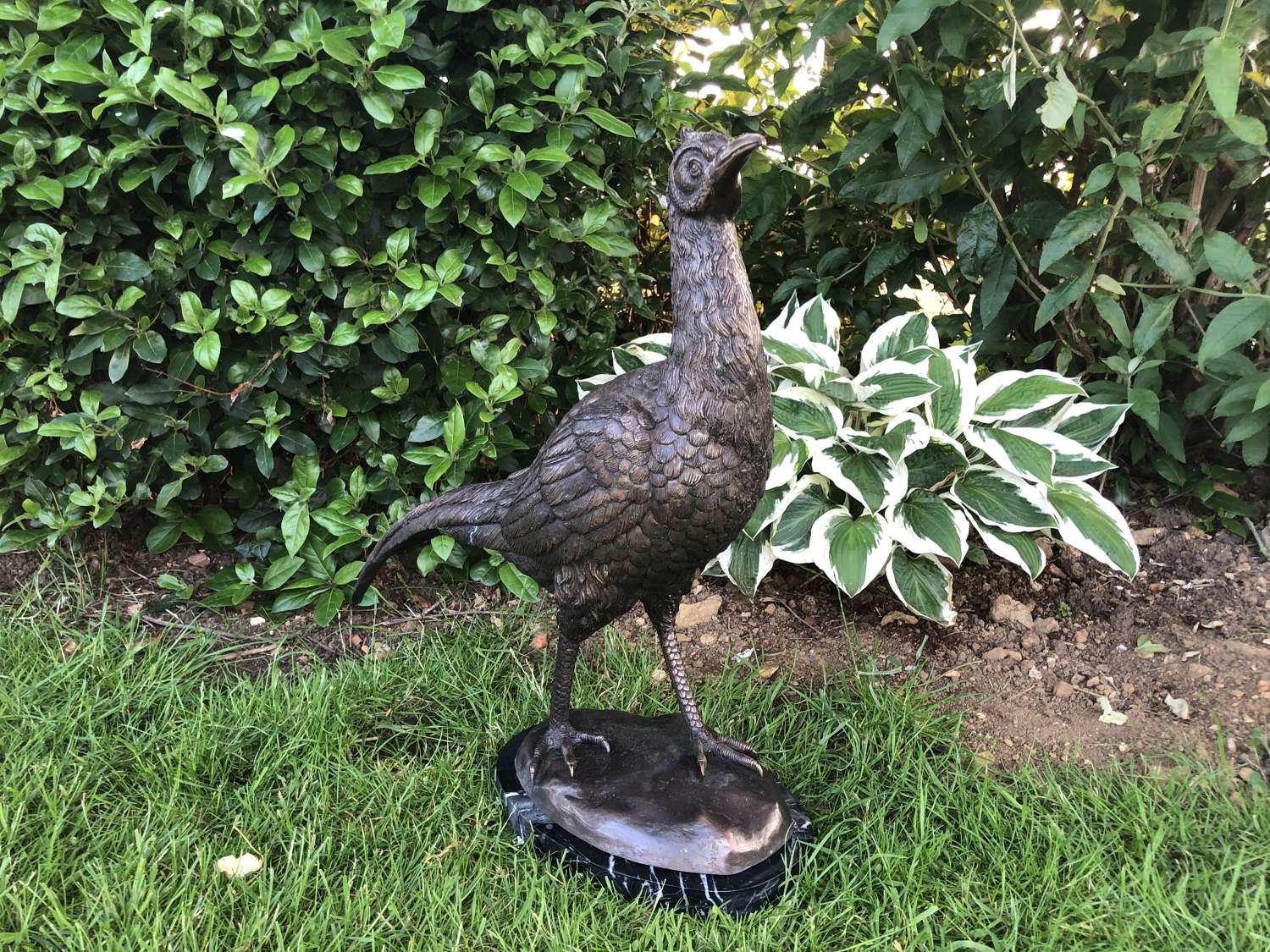 Bronze pheasant sculpture - bronze bird statue