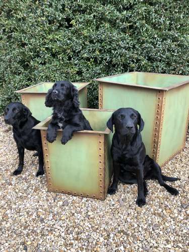 Square Iron Riveted Planters - Iron Tubs - Riveted Planters Green