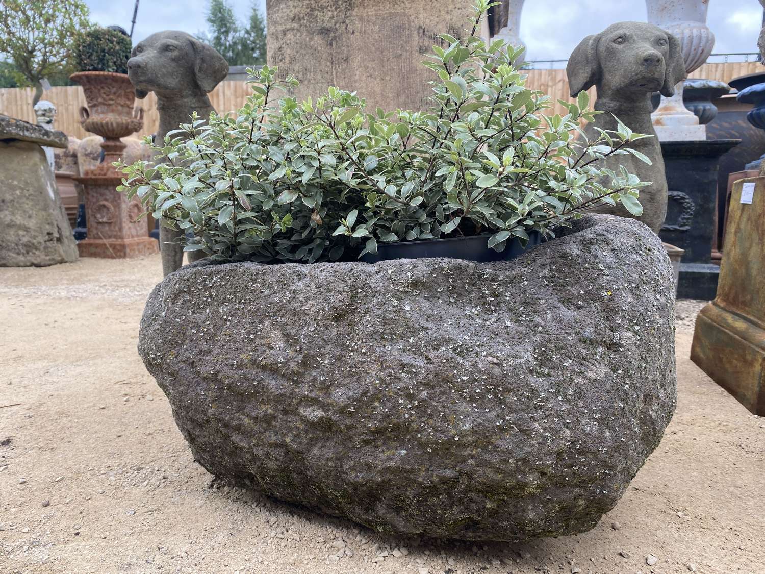 Rounded Stone Trough
