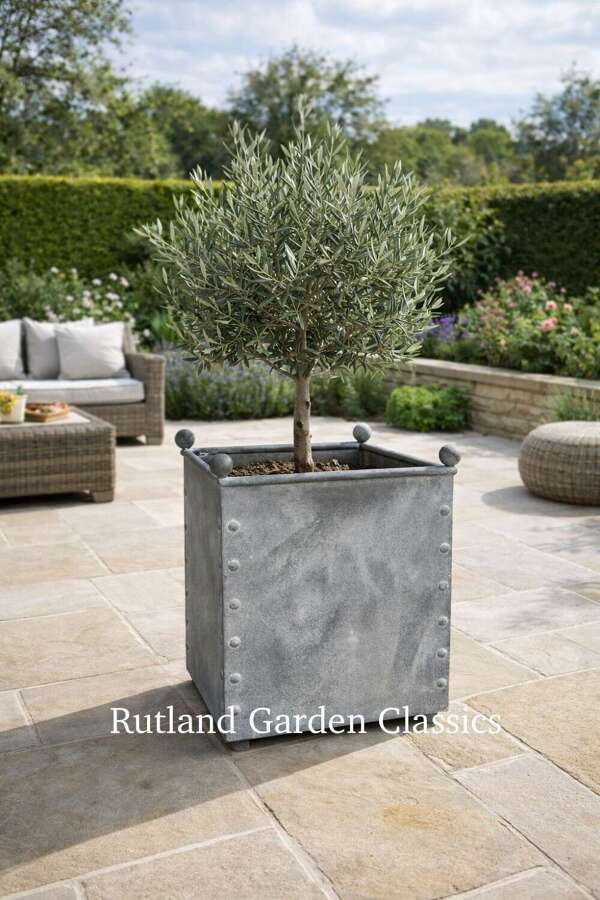 Square Galvanised Metal Planter - Zinc Pots