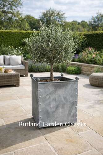 Square Galvanised Metal Planter - Zinc Pots