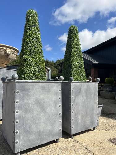 Square Galvanised Metal Planter - Zinc Pots