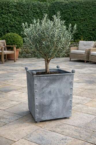 Square Galvanised Metal Planter - Zinc Pots
