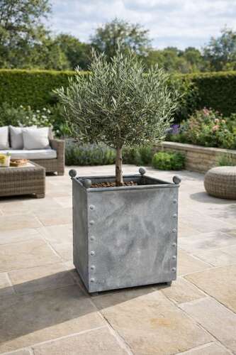 Square Galvanised Metal Planter - Zinc Pots