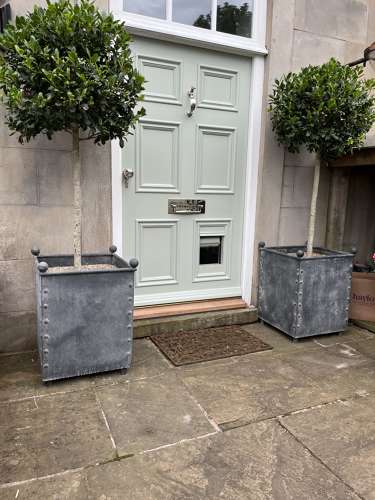 Square Galvanised Metal Planter - Zinc Pots