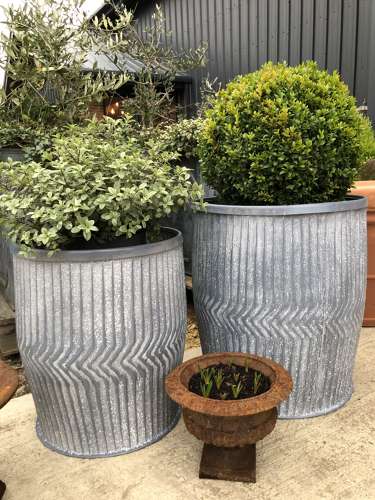 Dolly Tubs Planters - Zinc Planters 48 cm