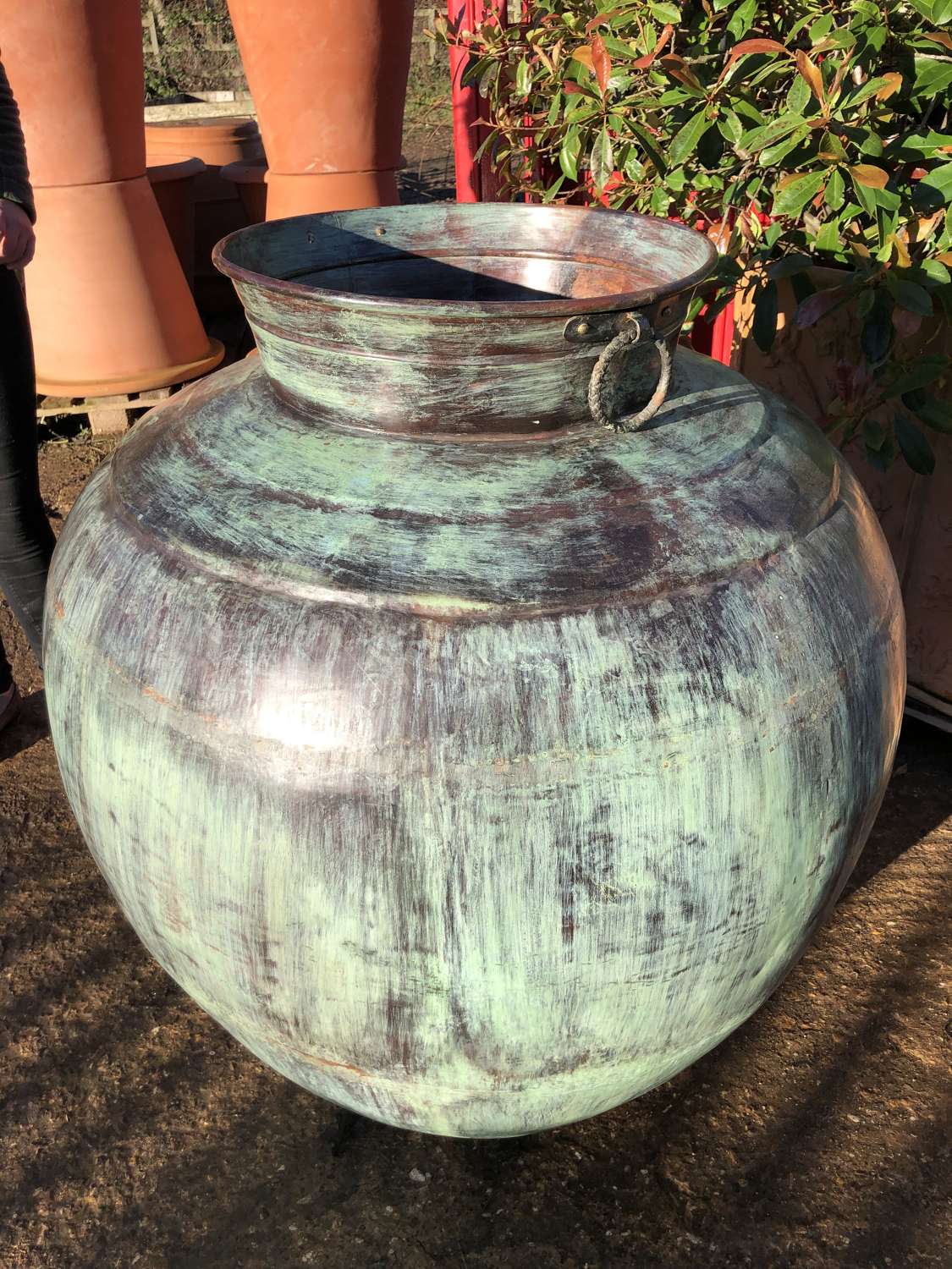 Ex Large Copper Ali Baba Pot Verdigris - Copper Olive Pots