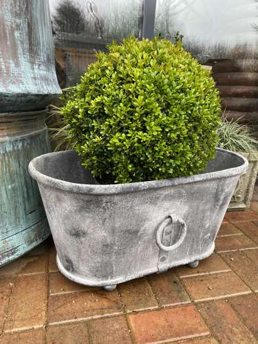 Small Galvanised Bath with Ring Handles - Zinc Planter