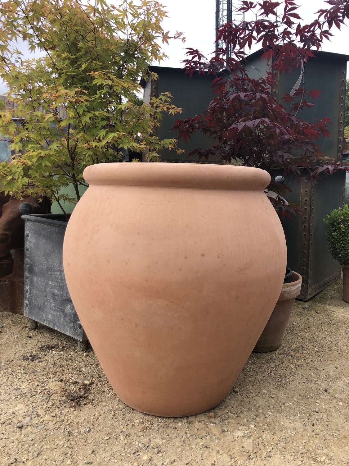 Wide Top Jar - Large Terracotta pots 68 cm tall