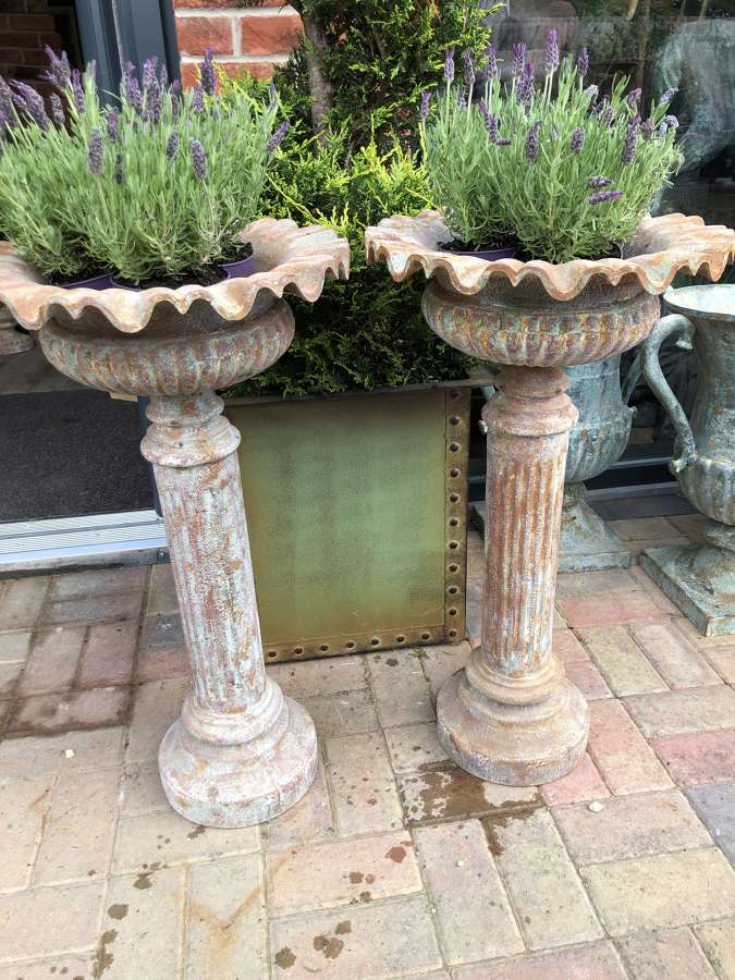 Pair of urns on columns - raised cast iron planters
