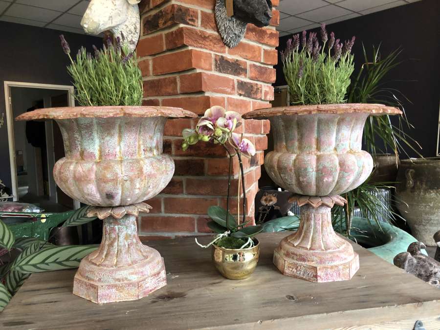 Pair of cast iron urns 43 cm - Distressed painted urns