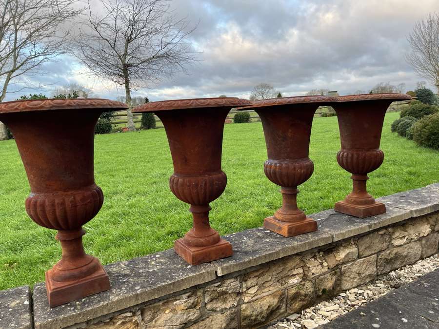 Set of four Cast Iron Campagna urns - cast iron planters