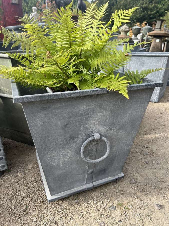 Galvanised Planter - Contemporary Zinc Planters
