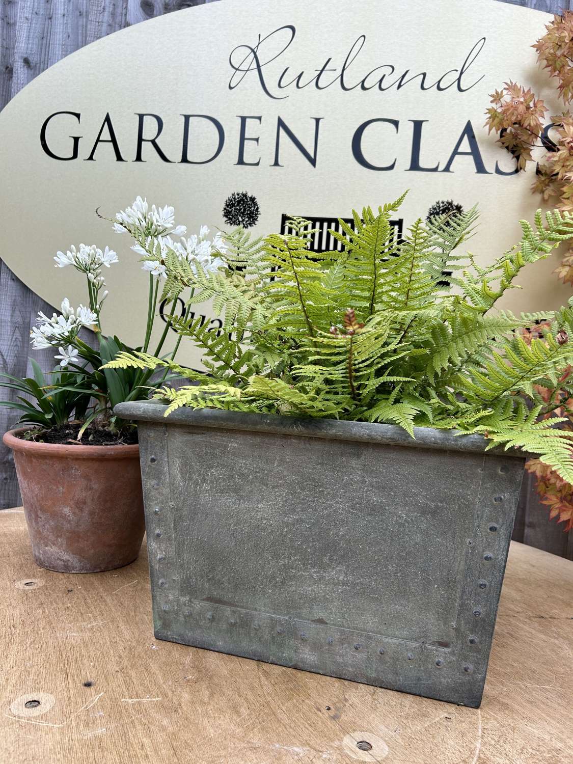 Low Square Galvanised Planters - Medium Green Galv 45cm