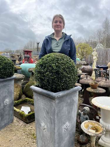 Tapered Galvanised Planter 85 cm - Zinc planters
