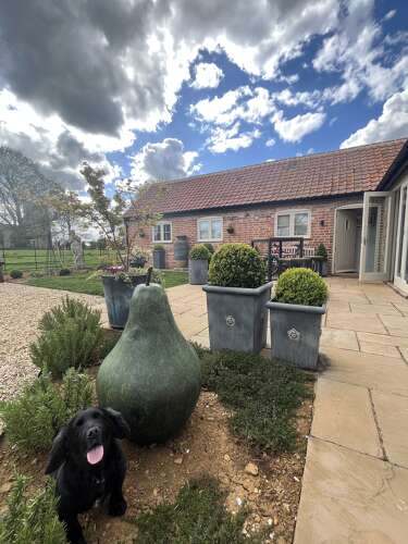 Bronze Pear Sculpture - bronze sculpture - bronze fruit.
