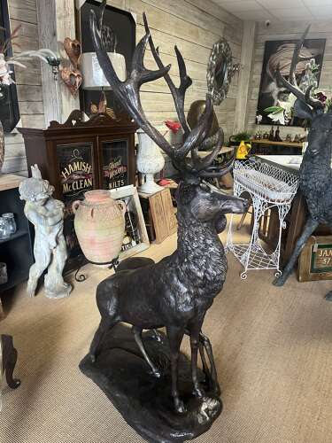 Stag & Doe bronze statue - Garden Deer