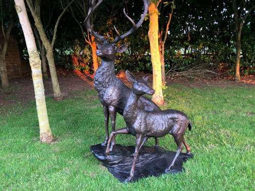 Stag & Doe bronze statue - Garden Deer
