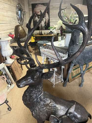 Stag & Doe bronze statue - Garden Deer
