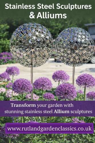 Stainless steel Allium sculpture - stainless steel sculpture