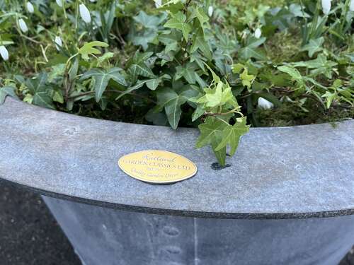 Ex Large Galvanised Planters - Heavy duty riveted tree planters