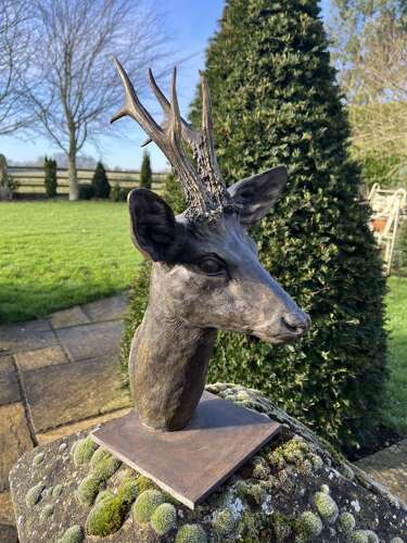 Bronze Roe Deer Head - deer sculpture in bronze