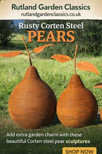 Rusty corten steel pears  100 cm - garden sculpture