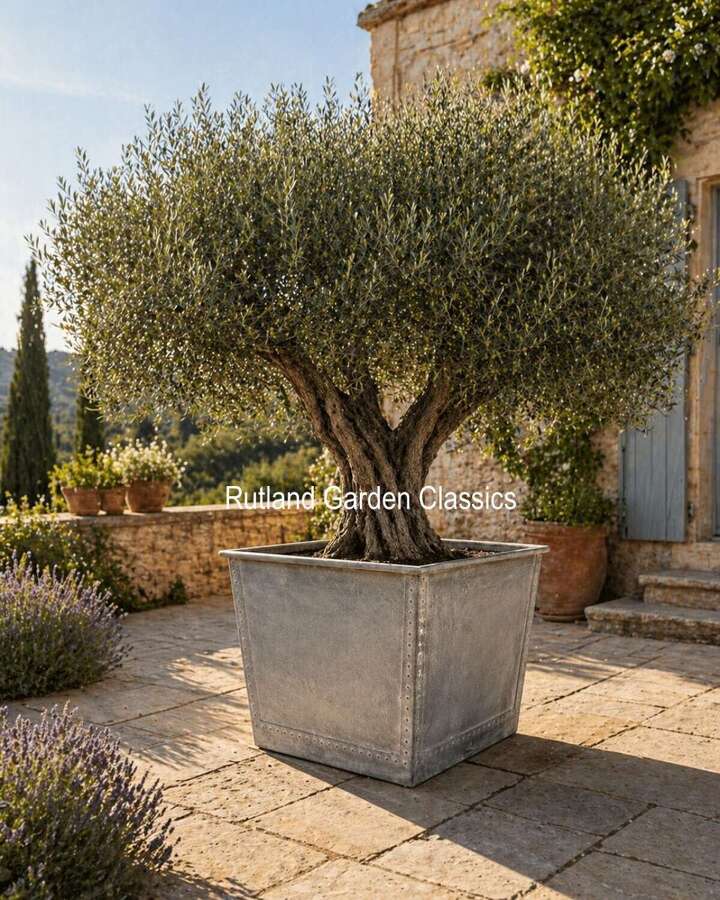 Ex Large Saxon planter 75 cm sq Heavy Duty