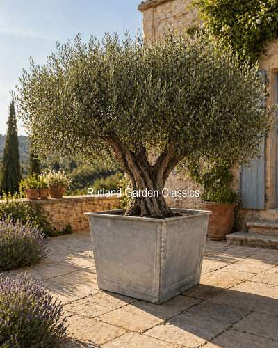 Ex Large Saxon planter 75 cm sq Heavy Duty