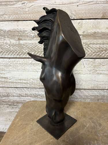 Bronze horse bust - bronze 